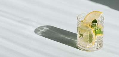 Ego Distillers