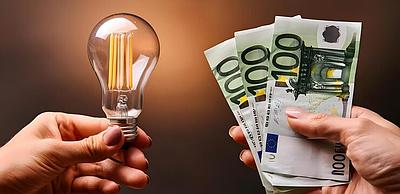 *Kilpailuttaja Suomi