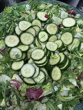 Ravintola Fellmannia lounas lunch Lahti