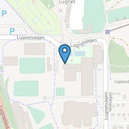 Lugnet Restaurang adress