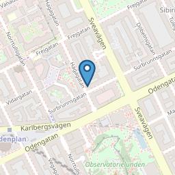 Greasy Spoon Hagagatan adress