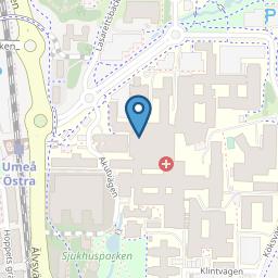 Torget Restaurang adress