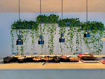 Laziza Hyllie brunch